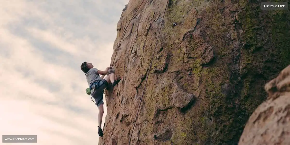 我们的品牌价值